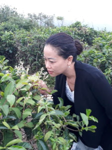 The beautiful Kemuning Tea Garden width=